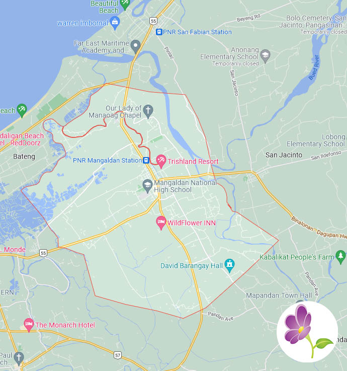 Tin's Flower Shop Flowers Delivered to Mangaldan in Pangasinan FREE